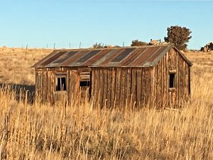 1800s mining cabin