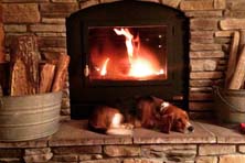 acucraft zmax wood burning fireplace with sleeping dog
