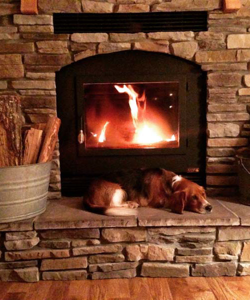 single sided wood fireplace with sleeping dog in living room