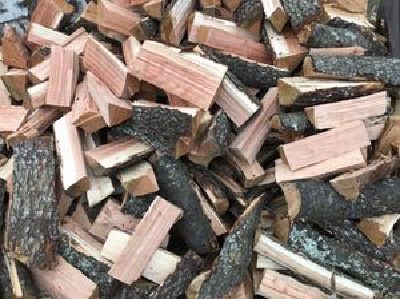 freshly chopped wood