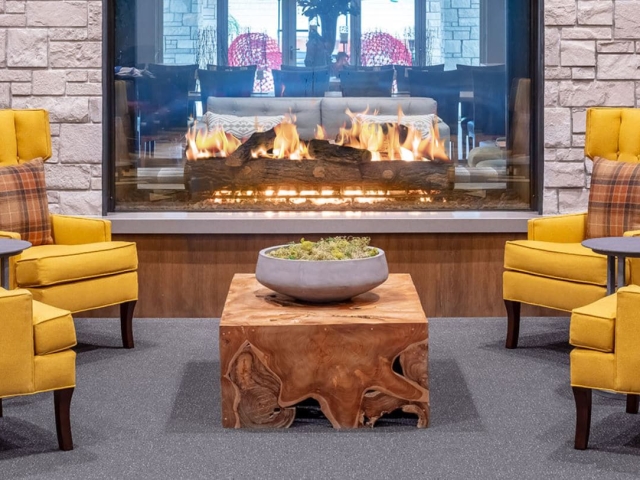 double sided gas fireplace with logs in modern living room